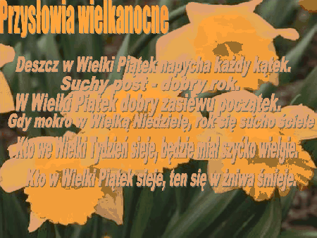 Deszcz w Wielki Piątek napycha każdy kątek